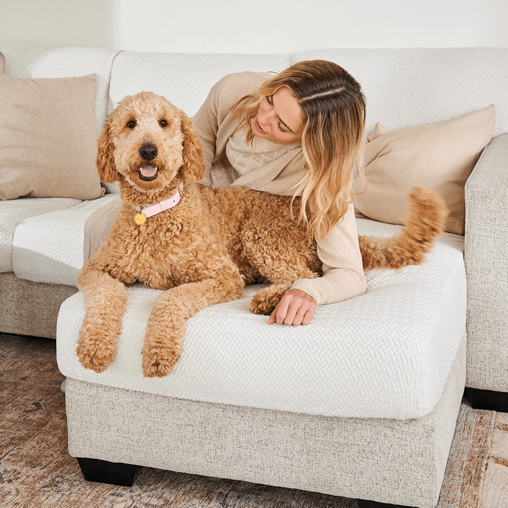 Magic Sofa Covers - Classic | Last Chance